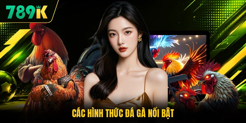 Các hình thức đá gà nổi bật
