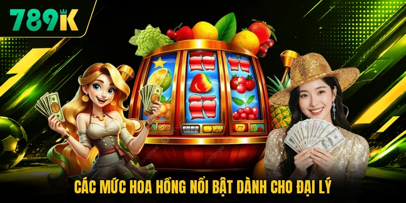 Các mức hoa hồng nổi bật dành cho đại lý