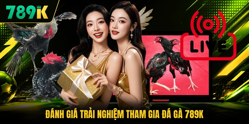 Đánh giá trải nghiệm tham gia đá gà 789K